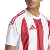 Adidas STRIPED 24 Match jersey