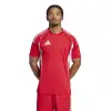 Adidas Tiro 25 Competition Match jersey