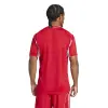 Adidas Tiro 25 Competition Match jersey