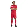 Adidas Tiro 25 Competition Match jersey