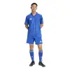 Adidas Team Icon 25 Match jersey