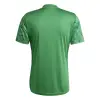 Adidas Team Icon 25 Match тениска