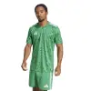 Adidas Team Icon 25 Match jersey