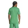 Adidas Team Icon 25 Match jersey
