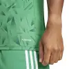 Adidas Team Icon 25 Match jersey