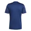 Adidas Team Icon 25 Match jersey