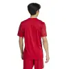 Adidas Team Icon 25 Match jersey