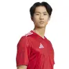 Adidas Team Icon 25 Match jersey