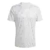 Adidas Team Icon 25 Match jersey