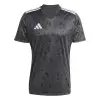 Adidas Team Icon 25 Match jersey