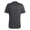 Adidas Team Icon 25 Match jersey