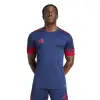 Adidas Squadra 25 Match jersey