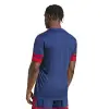 Adidas Squadra 25 Match jersey