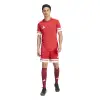 Adidas Squadra 25 Match jersey