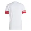Adidas Squadra 25 Match jersey