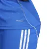 Adidas Tiro 25 Competition Match дамска тениска