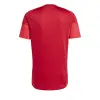 Adidas TIRO25 Competition Match jersey