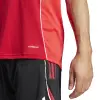 Adidas TIRO25 Competition Match jersey
