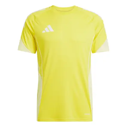 Adidas TIRO25 Competition Match jersey