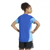 Adidas TIRO25 Competition Match Women's jersey