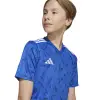 Adidas Team Icon 25 Match junior jersey