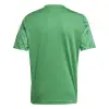 Adidas Team Icon 25 Match junior jersey