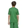 Adidas Team Icon 25 Match детска тениска