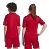 Adidas Team Icon 25 Match детска тениска