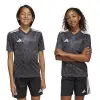 Adidas Team Icon 25 Match junior jersey