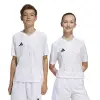 Adidas Team Icon 25 Match junior jersey