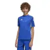 Adidas Tiro 25 Competition Match детска тениска