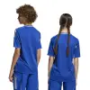 Adidas Tiro 25 Competition Match junior jersey