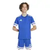 Adidas Squadra 25 Match детска тениска