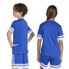 Adidas Squadra 25 Match детска тениска