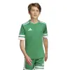 Adidas Squadra 25 Match junior jersey