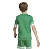 Adidas Squadra 25 Match junior jersey