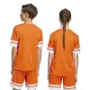 Adidas Squadra 25 Match детска тениска