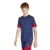 Adidas Squadra 25 Match junior jersey