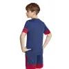 Adidas Squadra 25 Match детска тениска