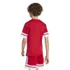 Adidas Squadra 25 Match junior jersey