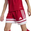 Adidas Squadra 25 Match детска тениска