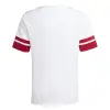 Adidas Squadra 25 Match junior jersey
