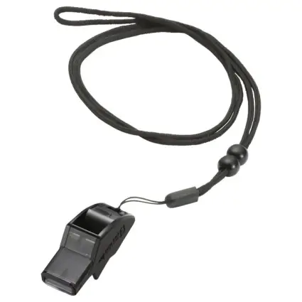 Molten Dolfin B whistle